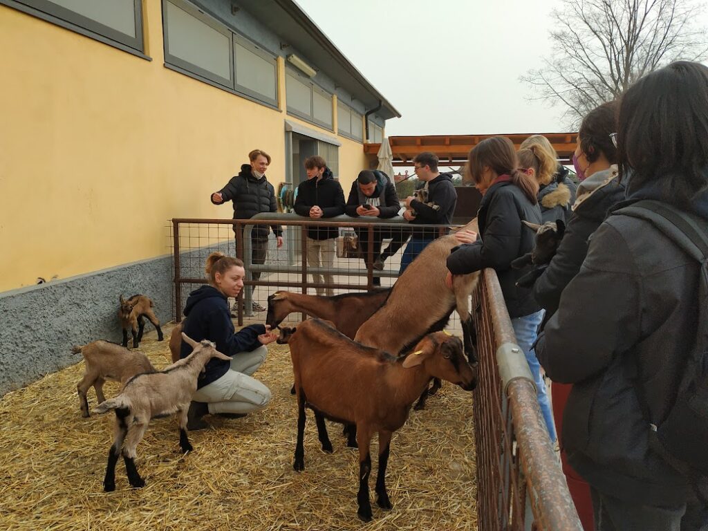Visita all’allevamento caprino dell’azienda agricola Baietta